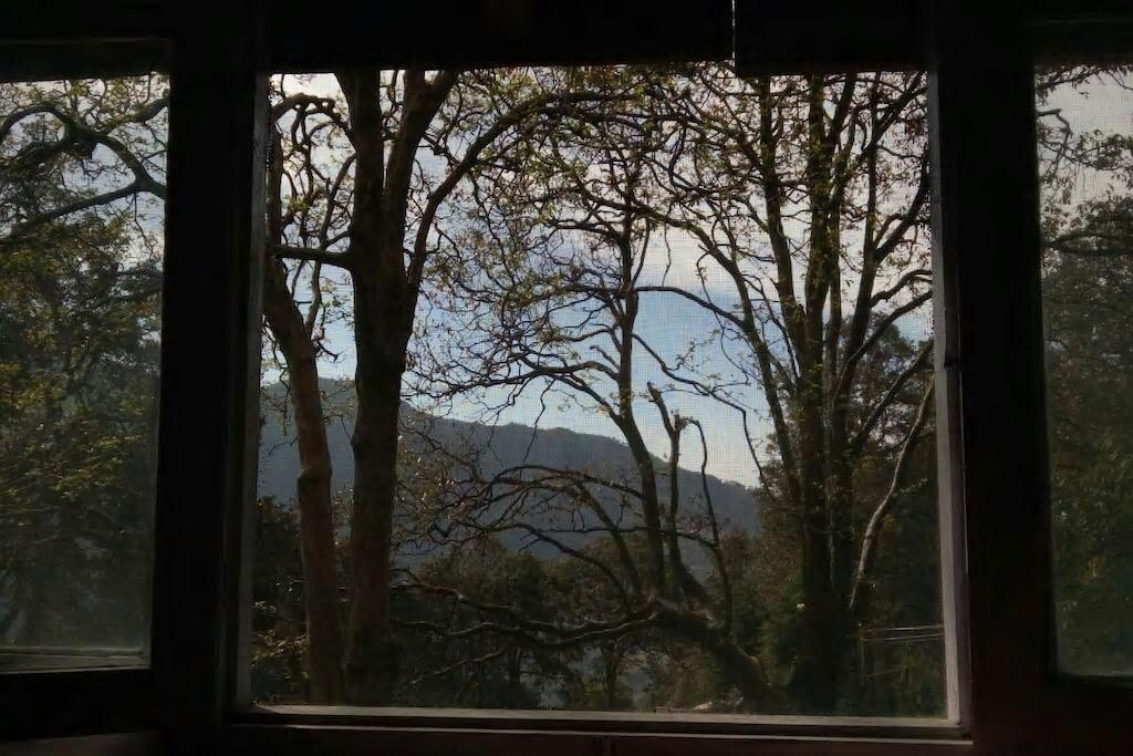 Dingle House , A Heritage House ダルハウジ エクステリア 写真